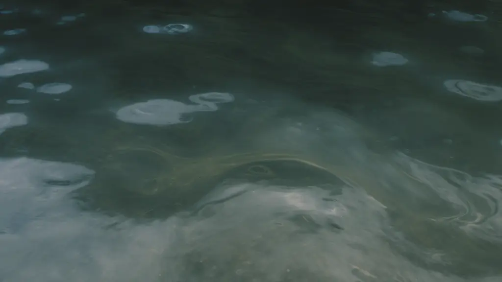 ¿Qué significa soñar con agua sucia? Interpretación emocional, espiritual y práctica